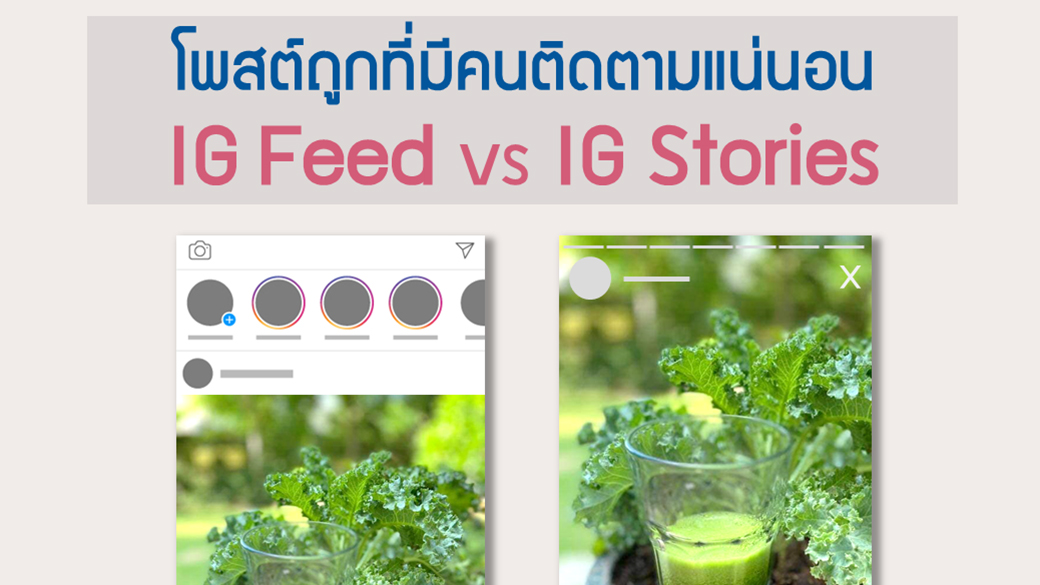โพสต์ถูกที่มีคนติดตามแน่นอน ระหว่าง IG Feed กับ IG Stories